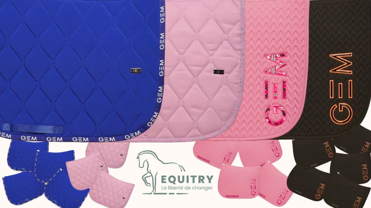 Tapis GEM nouvelle collection