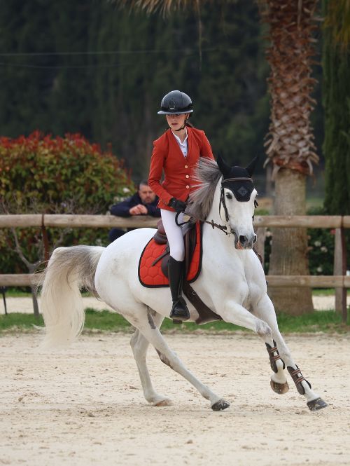 Cliente Equitry à cheval