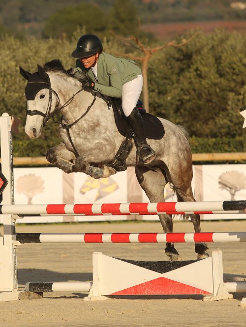 Cliente Equitry à cheval