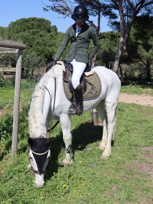 Cliente Equitry à cheval