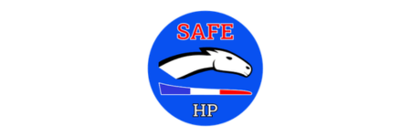 Logo Safe HP
