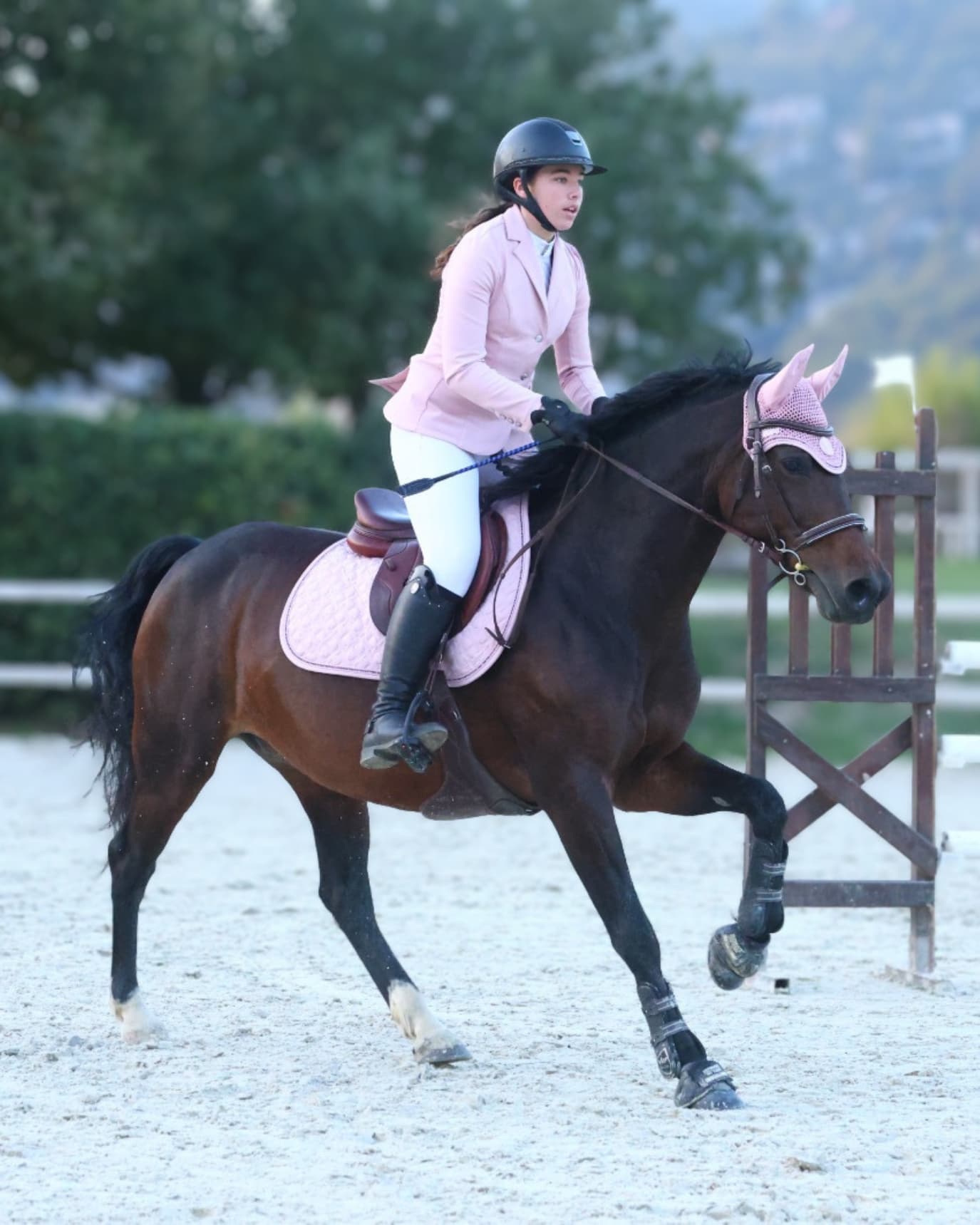 Veste de concours rose portée par une cavalière en concours